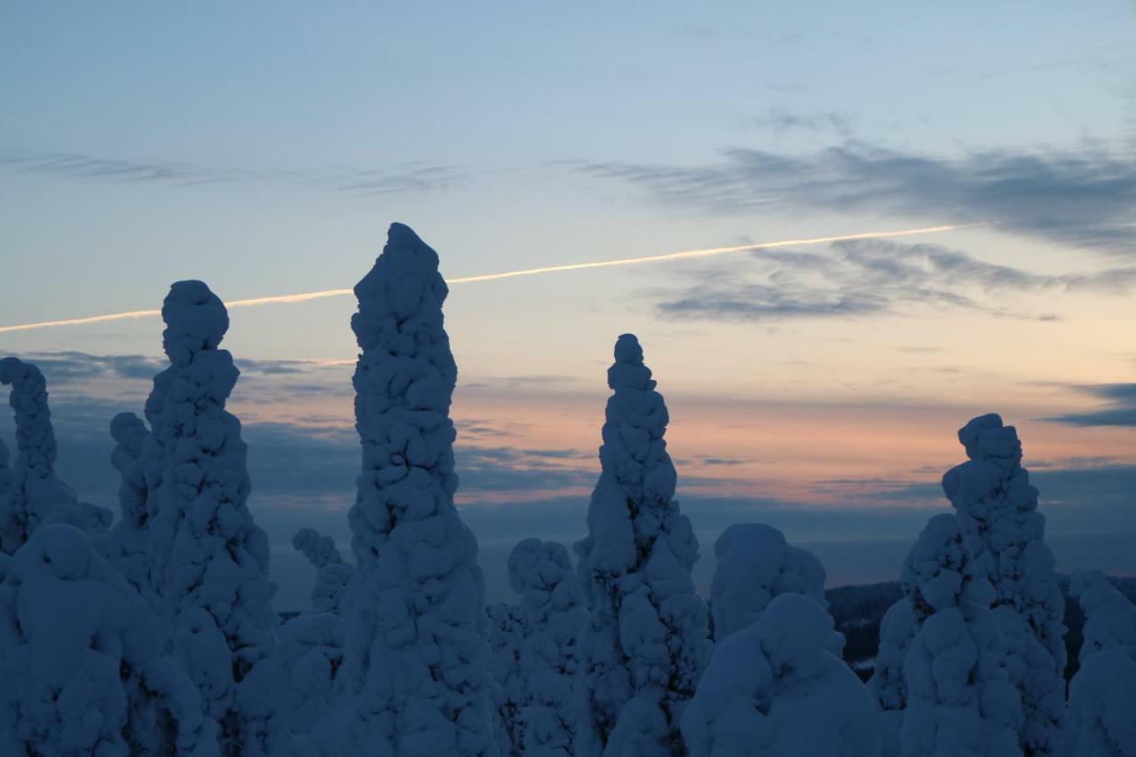 Polaris Homes For You Rovaniemi Buitenkant foto
