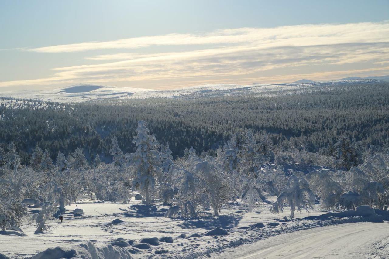 Polaris Homes For You Rovaniemi Buitenkant foto